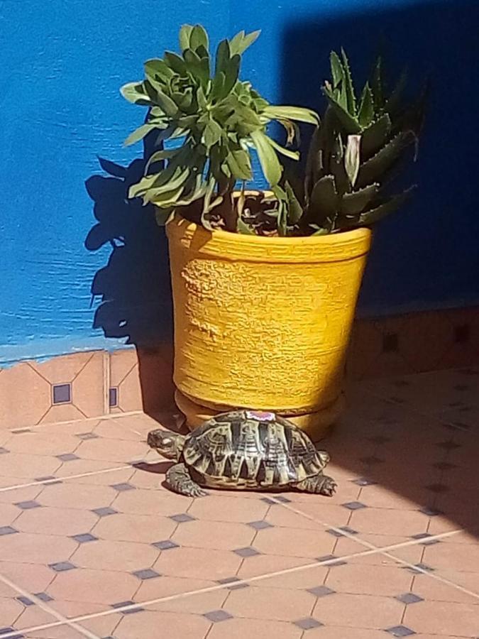Riad Zinnha Marrakesch Exterior foto